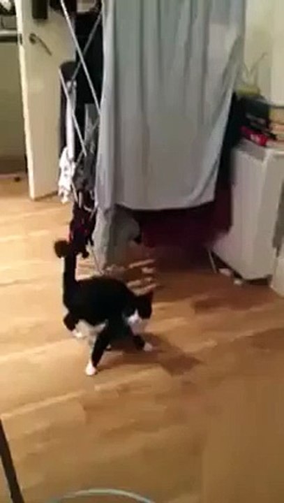 Did Not See That Coming...