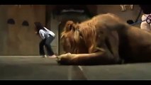 Lion Attacks Woman - 4 Ribs Broken