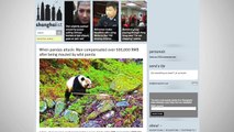 Man Receives A Roughly $80K Settlement Following Wild Panda Bite