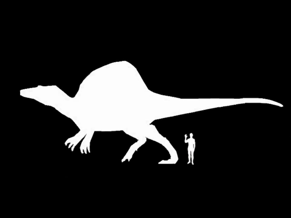 Dünya'nın En Büyük 10 Hayvan Türü