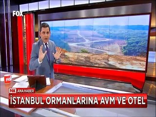 Torba yasadan İstanbul'un kuzey ormanlarına AVM ve Otel izni çıktı