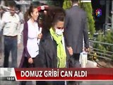 Türkiye'de Domuz gribi can almaya devam ediyor Kocaeli'de 1 kişi hayatını kaybetti