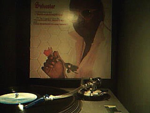 Sylvester - I Need Somebody to Love Tonight 12 [Instrumental]