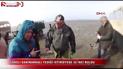 Yediği istiridyede 30 inci buldu