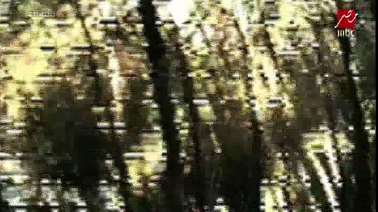 مسلسل سندباد الحلقة 9 كاملة مدبلج جودة عالية HD