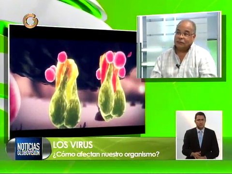Conozca los diferentes tipos de virus