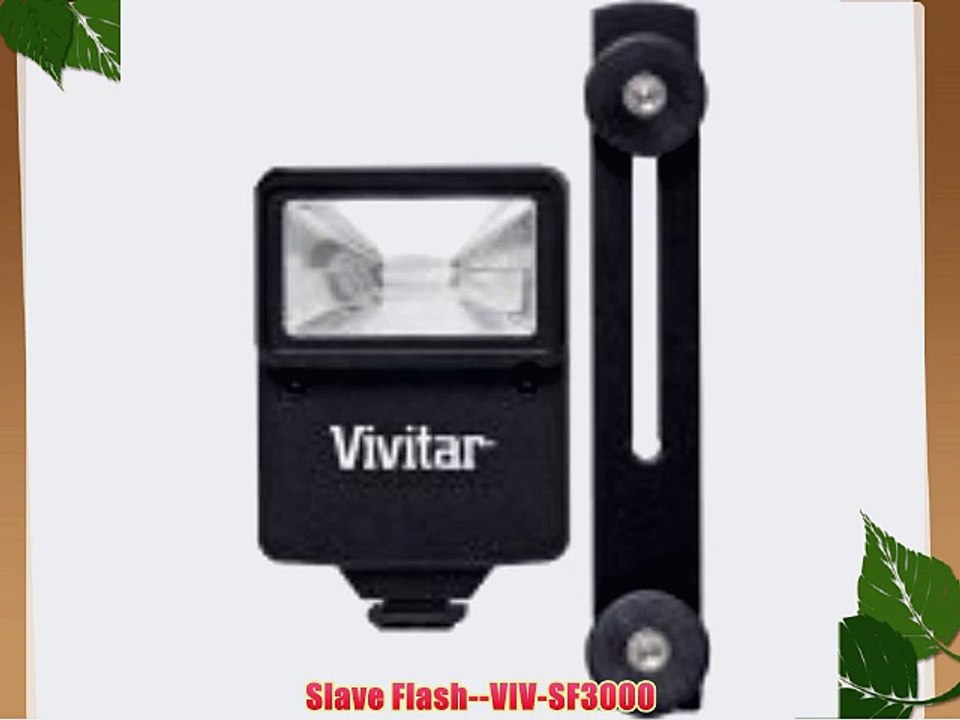 Slave Flash--VIV-SF3000