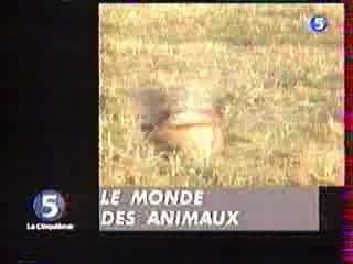 2 be Smart or not to be :p