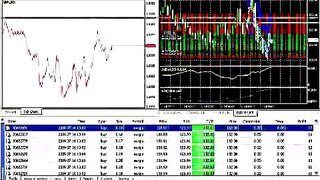 Forex Trendy-Best forex auto trading software EA-The Best Forex Software
