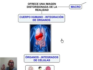 SERES HUMANOS ESCLAVOS