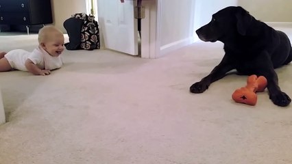 Baby s first crawl with her dog... what a cute ending!