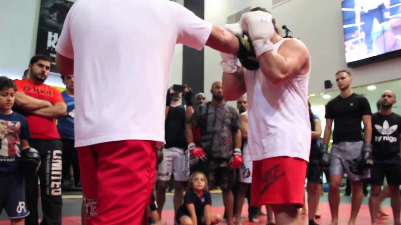 Fedor Emelianenko in the Mix, Volume II