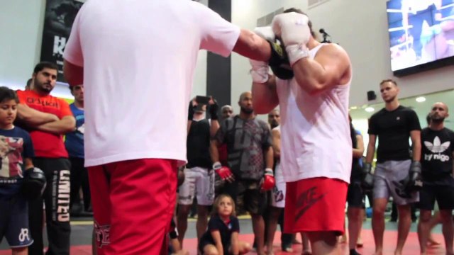 Fedor Emelianenko in the Mix, Volume II