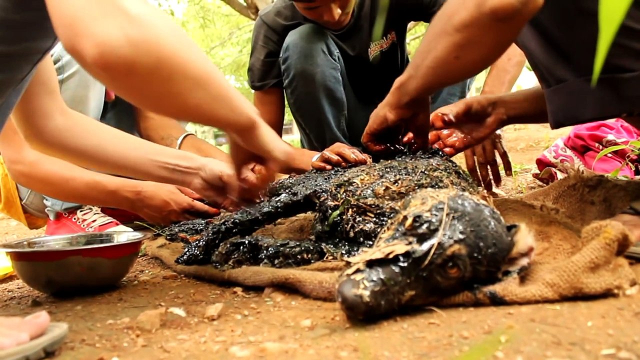 Covered in tar & unable to move, this amazing rescue saved this dog s life!