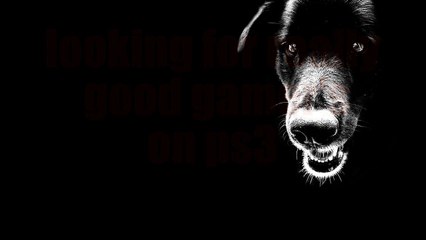 STREET DOG KILLERS RECRUITMENT VIDEO