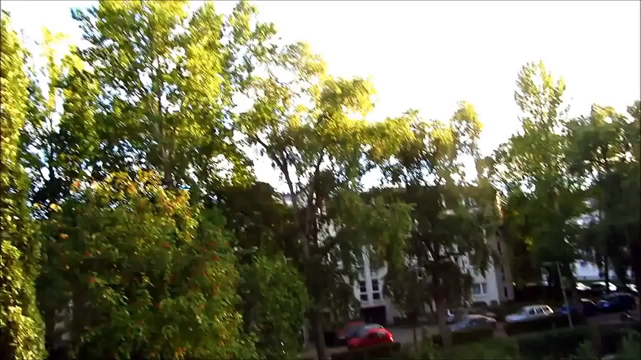 How to make a Paper Airplane that Flies   Paper Airplanes   Best Origami Plane   Phoenix