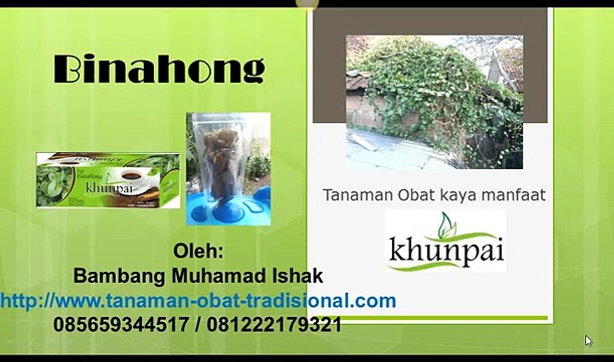 jual binahong