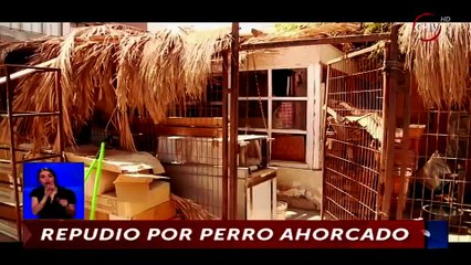 Download Video: Dueño de restaurant chino salió a dar su versión por perro ahorcado en su local - CHV Noticias