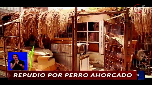 Dueño de restaurant chino salió a dar su versión por perro ahorcado en su local - CHV Noticias