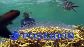 Poseidon Cruises