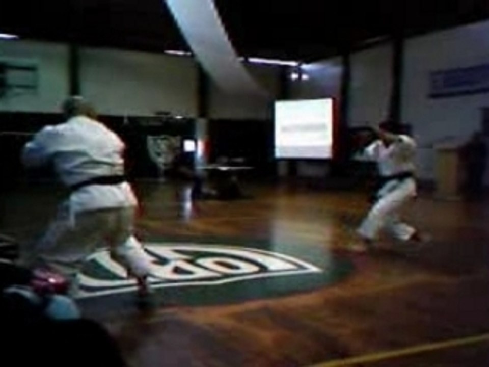 Bunkai KihonTobi geri