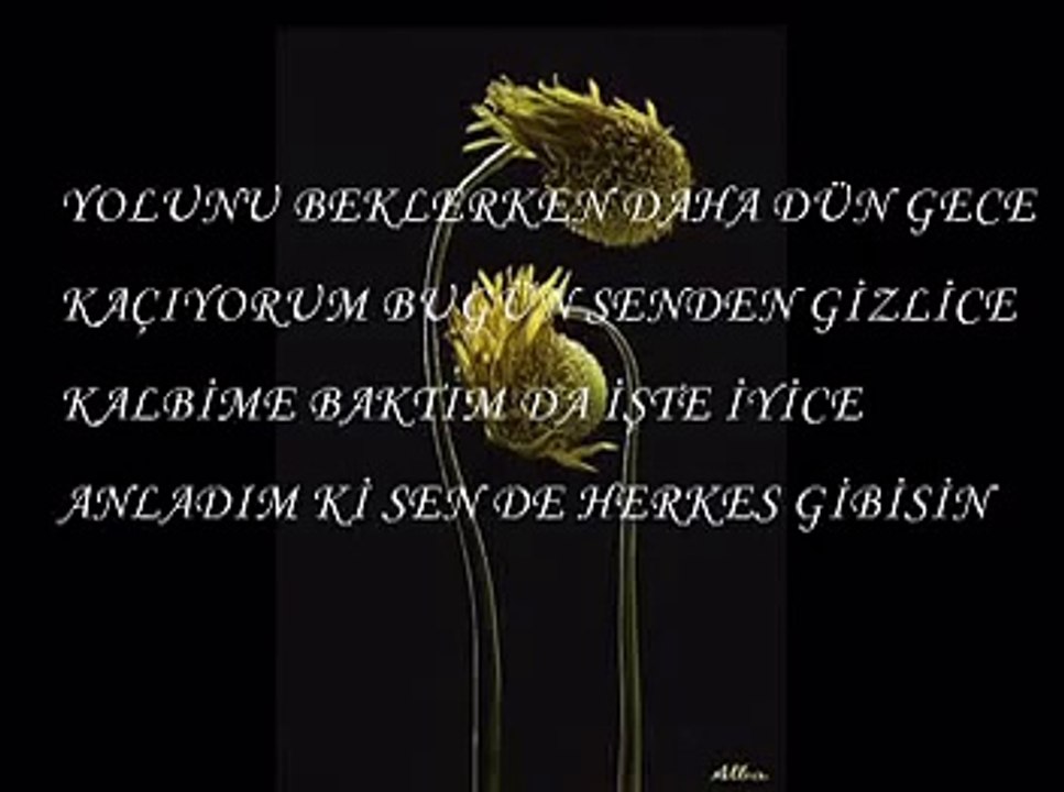 cem karaca- herkes gibisin