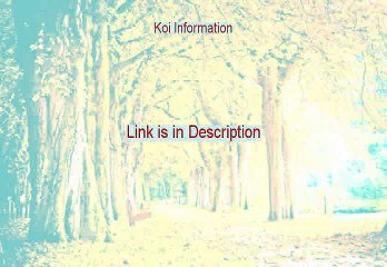 Koi Information Reviewed - Watch this 2015