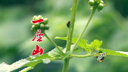 20131207 奇迹梦工厂 预告 史上最强翻拍来袭