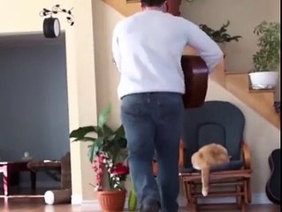 Cat Owner Gets Instant Karma!!! LOL