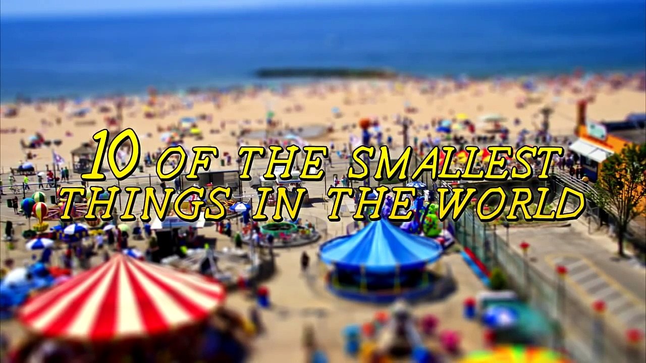 Ten Of The Smallest Things In The World   LoL