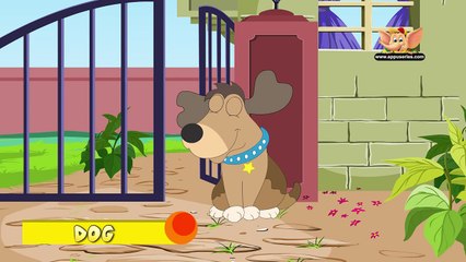 Animal Facts - Dog (HD)