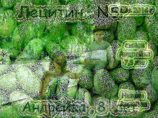 Реальный потребитель Лецитина NSP Андрейка, 8лет