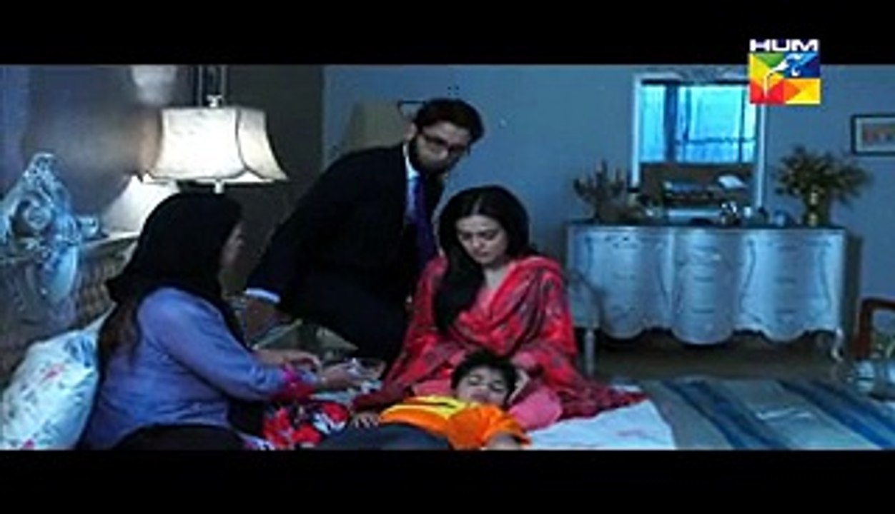 Aik Pal Episode 17 Hum Tv Drama Part 2 - 16th March 2015