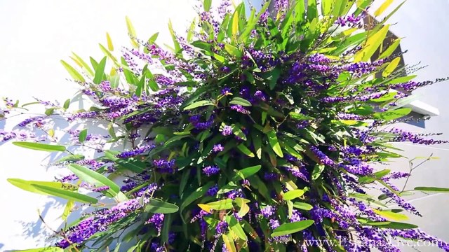 Купить новую квартиру в Испании на море недвижимость