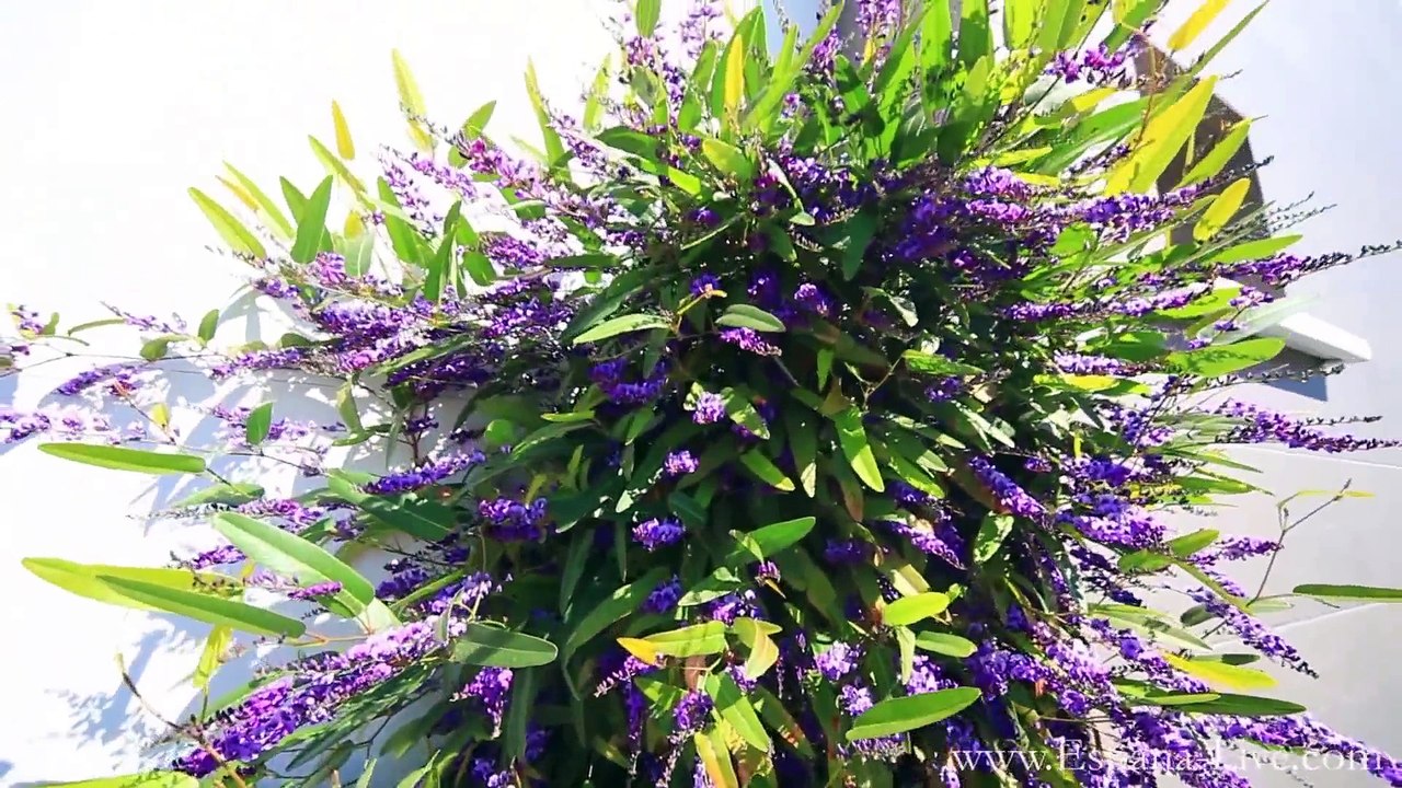 Купить новую квартиру в Испании на море недвижимость