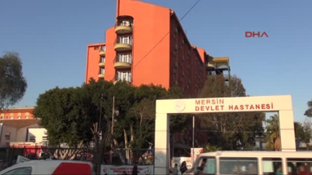 Mersin Anamur Ölümlerin Arttığı Anamur'da 'Domuz Gribi' Paniği 3