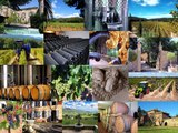 Blue Side - Spécialiste transactions achat vente propriétés viticoles - Provence - Languedoc