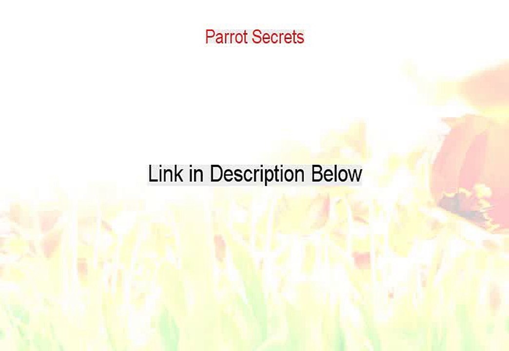 Parrot Secrets Free Review (See my Review)