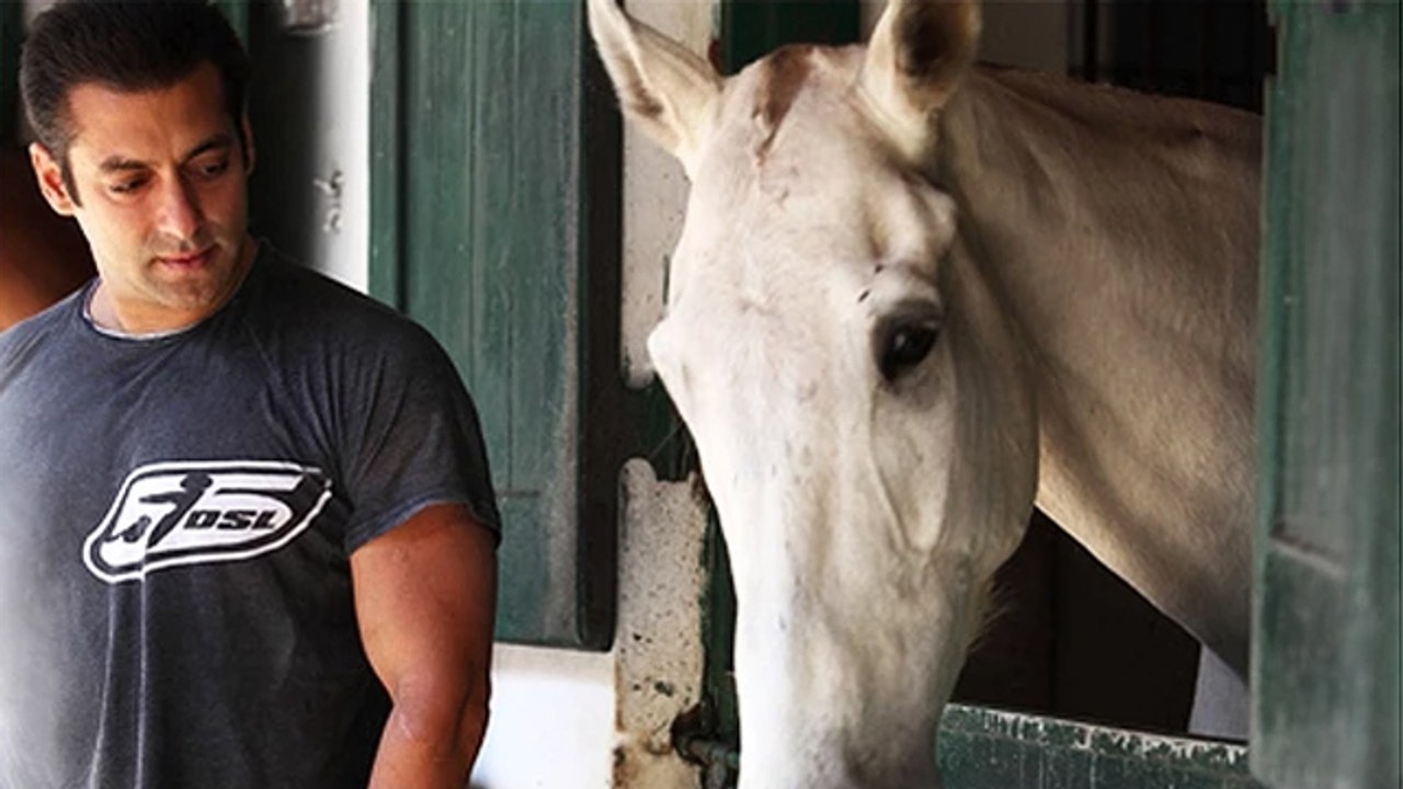 Salman Khan BREEDS HORSES At Panvel FARM House