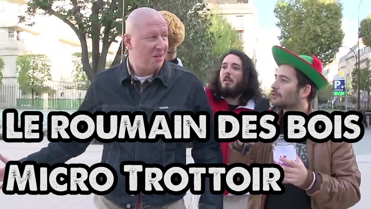 TROLL - ROUMAIN DES BOIS - AvneretVous