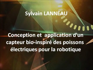 LANNEAU Sylvain - Pré-sélection Finale Régionale [MT180]