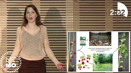 MONTAGNE Virginie - Pré-sélection Finale Régionale [MT180]