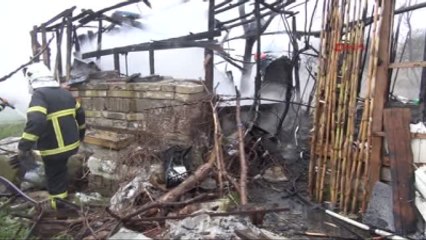 Bandırma Yaşlı Adamı Yanarak Ölmekten Havlayan Köpeği Kurtardı