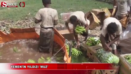 Yemen'in yıldızı ‘Muz’