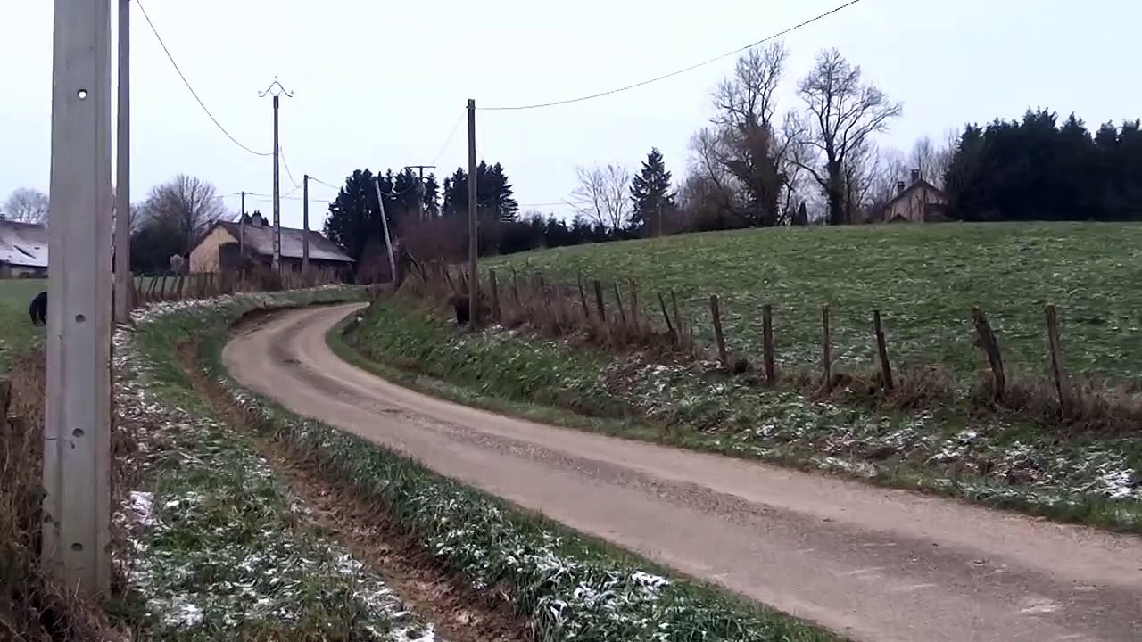 Un sanglier coursé par des poneys