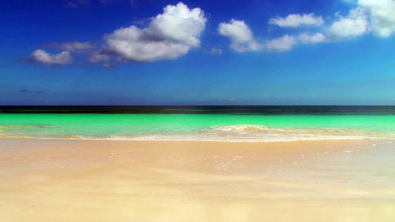 the beach