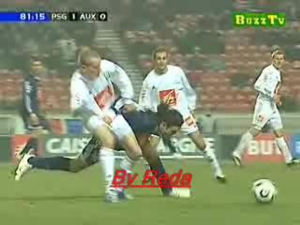 aile_de_pigeon_pauleta