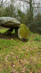 dolmen  de  Moutiers  sous Argenton