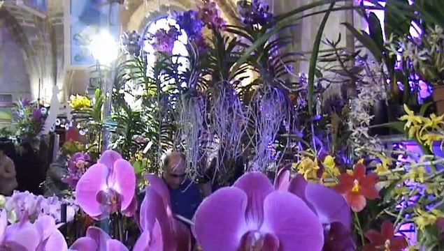 Exposition Internationale d'Orchidées Abbaye de Vaucelles