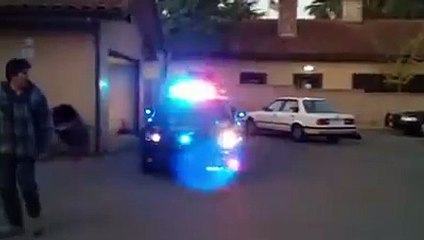 Un chien policier de 14 mois à l'entrainement (USA)